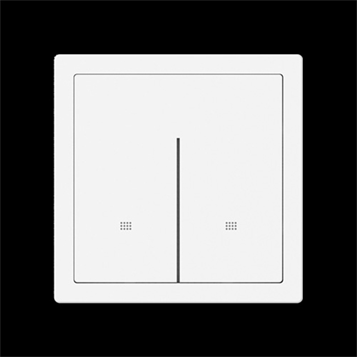 TMS-Y-DG-MB02 双键智能开关